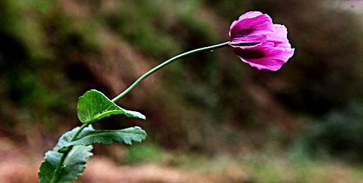 《真人快打11》领衔！XGP 12月下旬新增游戏正式公布